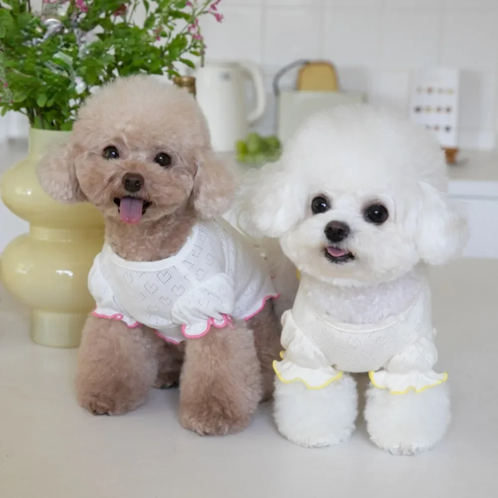 Camiseta con borde de oreja de madera para mascotas, ropa bonita para el hogar, suéter para perros, ropa interior de amor, Teddy, Marcus, Schnauzer, Otoño e Invierno - imagen 2