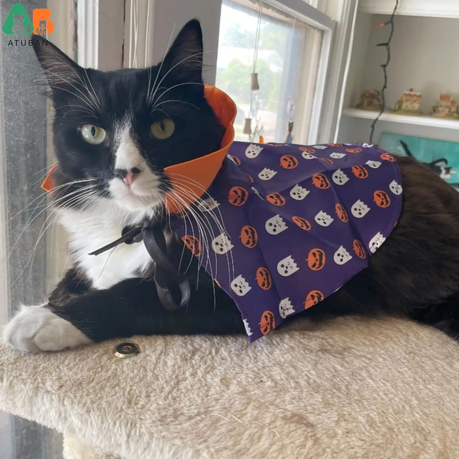 Disfraces de Halloween de gato ATUBAN, capa de mago, ropa de gato vampiro, ropa de bruja para perros pequeños, traje de Cosplay para fiesta temática de Halloween - imagen 2