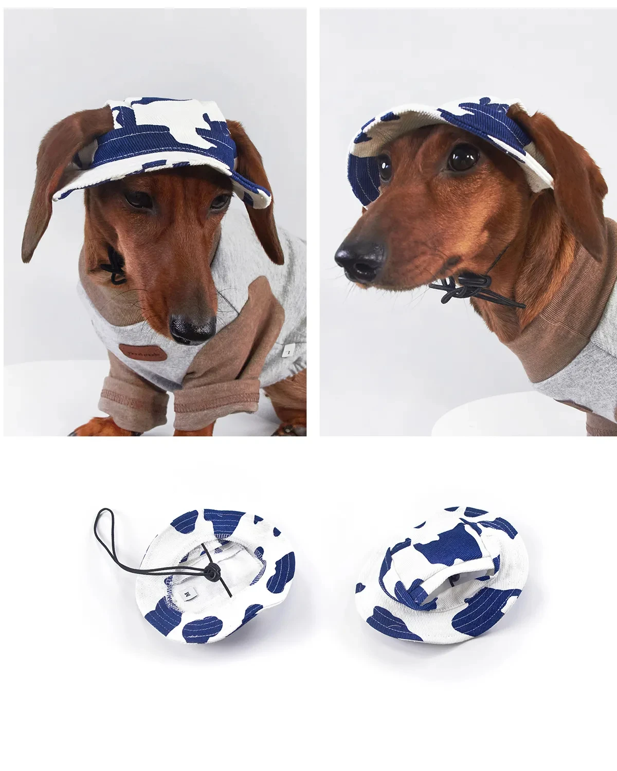 Perro pequeño luciendo gorra ajustable ABQP al aire libre