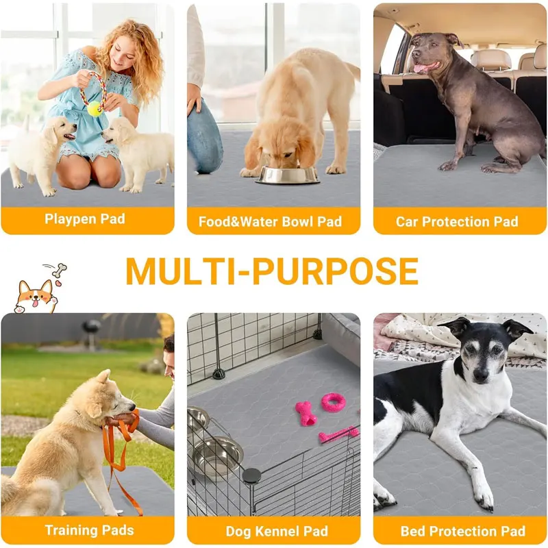 Almohadilla reutilizable para entrenamiento – Perros y gatos - imagen 3