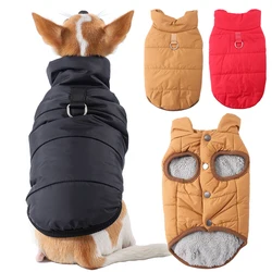 Chaqueta térmica para perros Chihuahuas y Schnauzer – Protección viento y frío