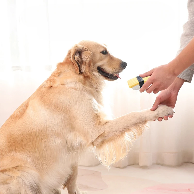 Una persona sostiene un objeto amarillo en la mano y acarician a un perro