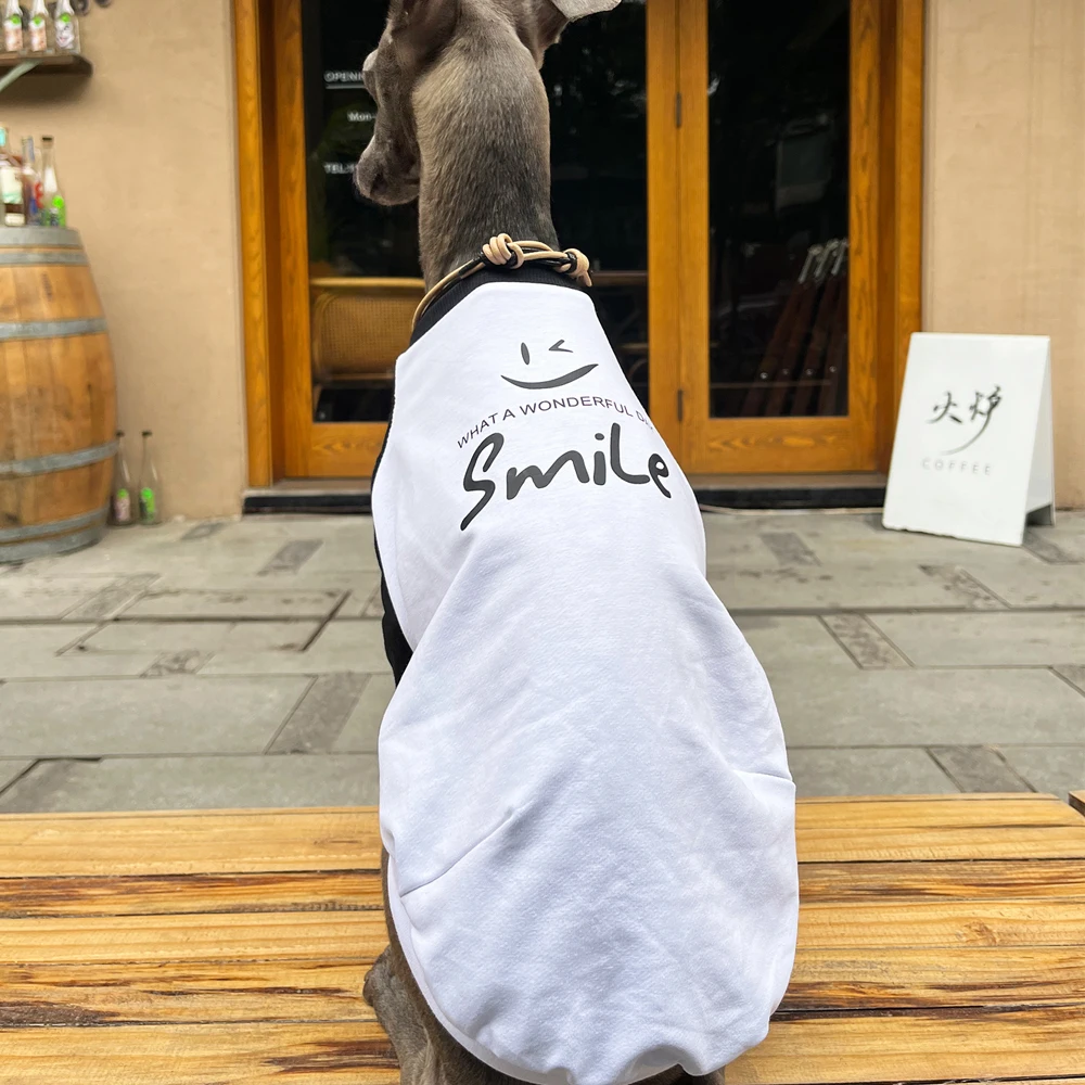 Ropa de galgo italiano, camiseta con hombros descubiertos y estampado de colores a la moda, ropa suave y cómoda para perros, ropa para perros de dos patas para primavera y verano - imagen 2