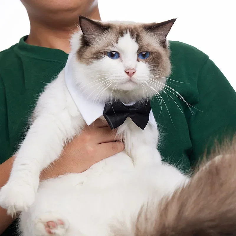 Corbata ajustable con lazo para perros y gatos, disfraz para mascotas, Collar para perros pequeños, accesorios de aseo para cachorros - imagen 4