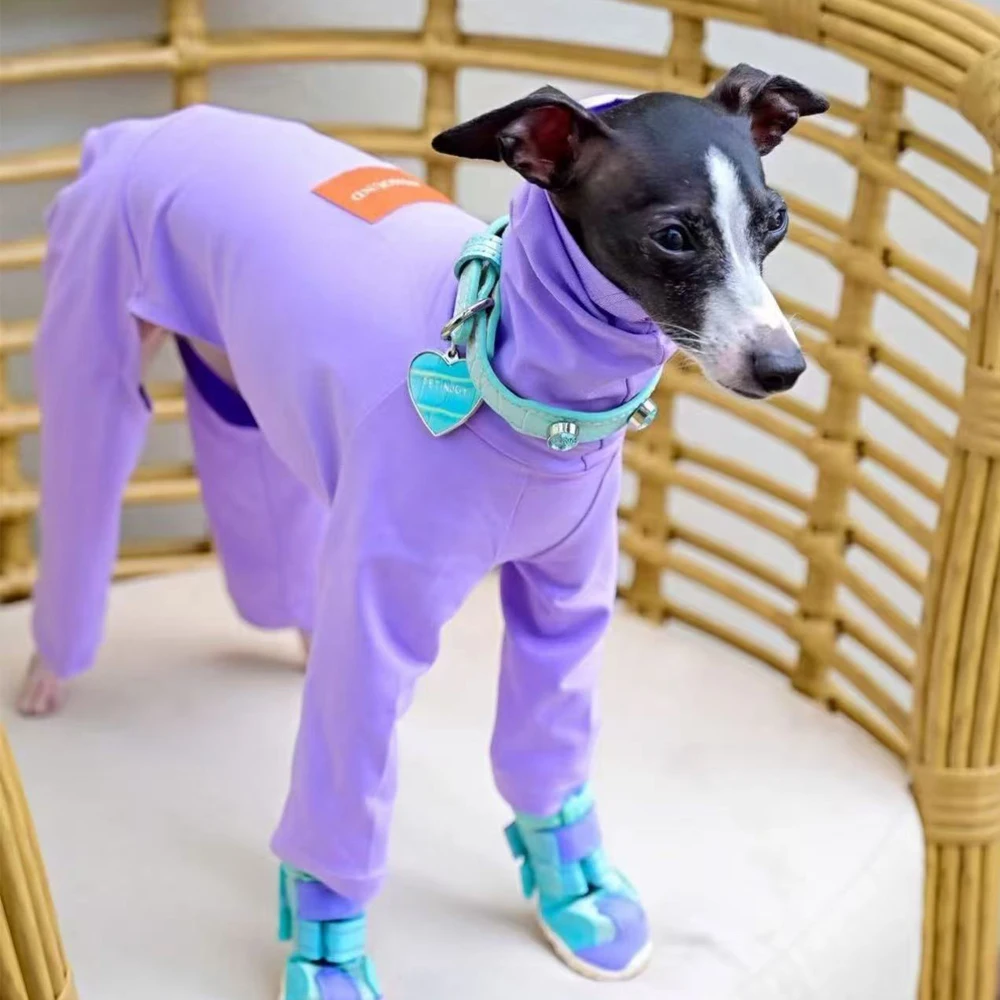 Mono 100% de algodón para galgo italiano, camiseta de Color puro con cuello alto y manga larga de 4 patas para perros Whippet, primavera y otoño - imagen 3
