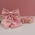 Bow Collar Leash Set