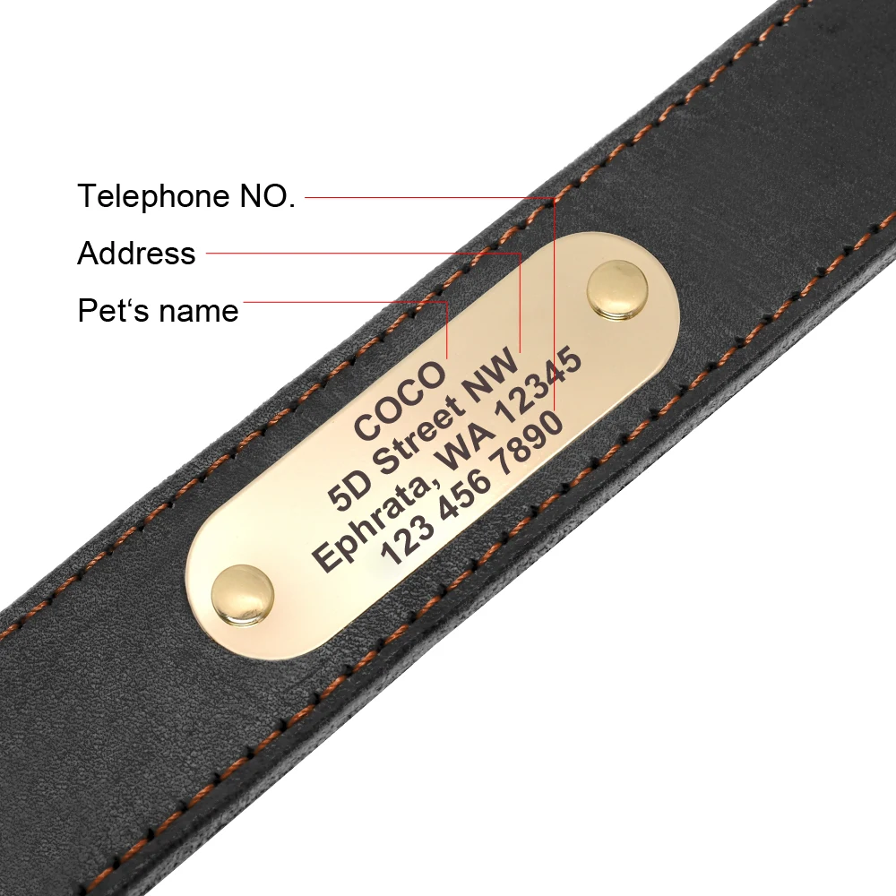 Conjunto collar y correa de cuero para perros medianos y grandes – Bulldog Francés - imagen 2