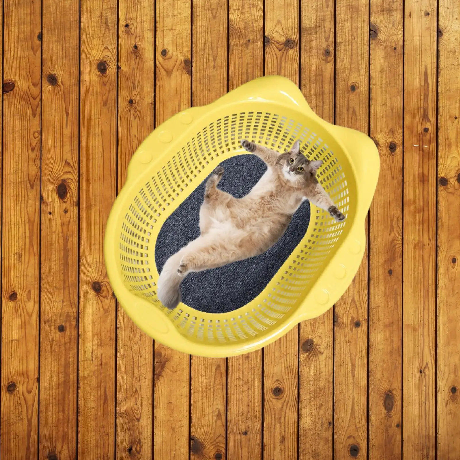 Cat Bed Sleeping Nest Versatile Breathable Modern with Cushion Pet Supplies Sturdy Comfortable Cat Lounger Basket Pets Kitten Cat Bed Sleeping Nest Versatile Breathable Modern with Cushion Pet Supplies Sturdy Comfortable Cat Lounger Basket Pets Kitten