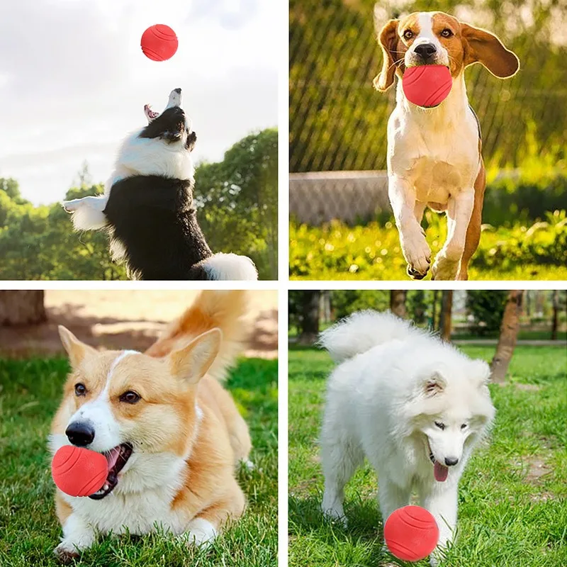 Juguetes interactivos para perros, bolas elásticas sólidas de goma, juguete para moler dientes masticables para cachorros, Material TPR para mascotas, suministros para juegos, productos de bolas para perros - imagen 2