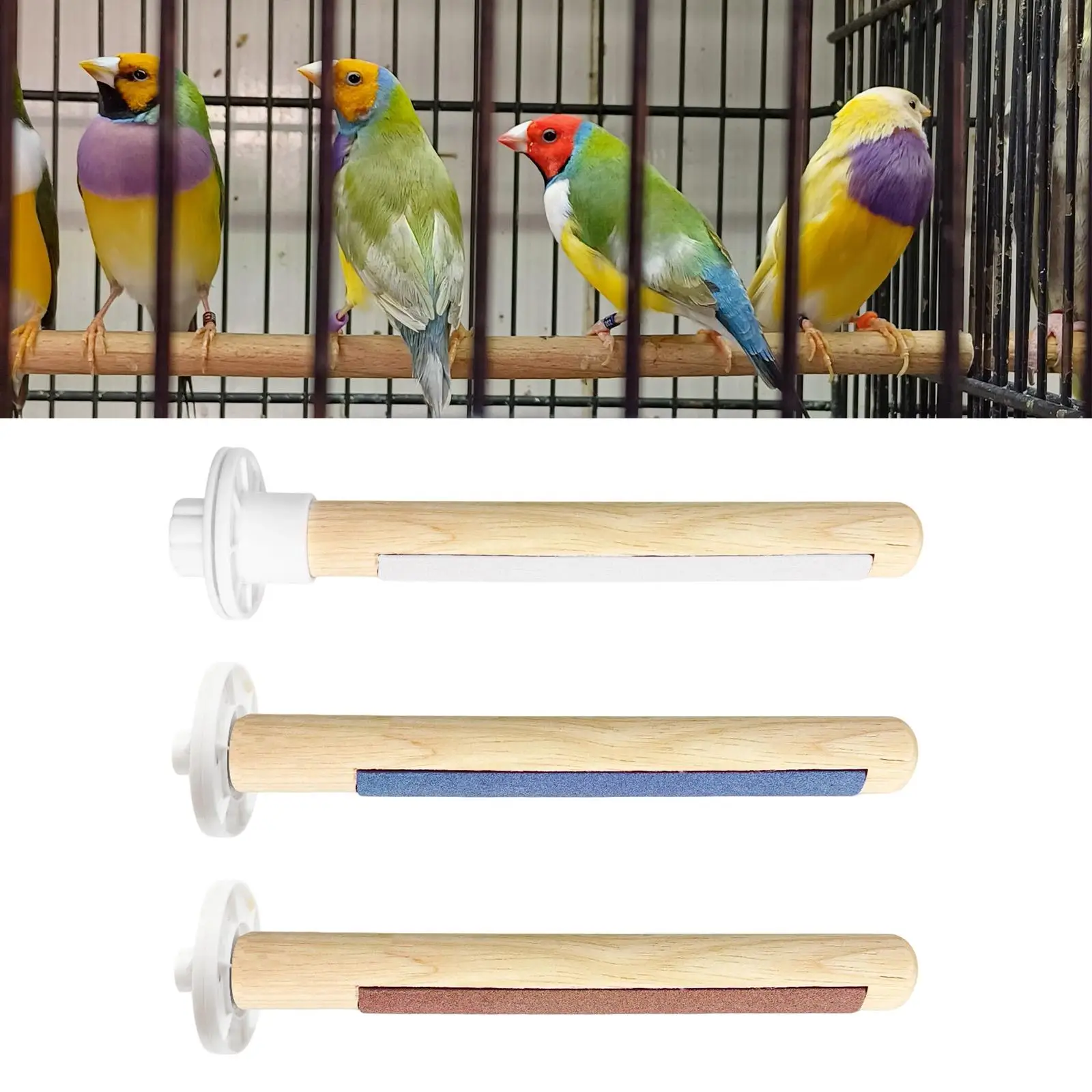 Bird Perch Grinding Claw 2 in 1 Play and Rest for Conures Budgies Parakeets Bird Perch Grinding Claw 2 in 1 Play and Rest for Conures Budgies Parakeets