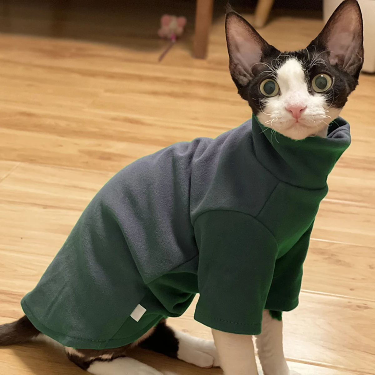 Sphynx-ropa para gatos de algodón suave para bebé, ropa para perros pequeños, disfraz de gato Cornish Devon, ropa para mascotas sin pelo, otoño e invierno - imagen 5