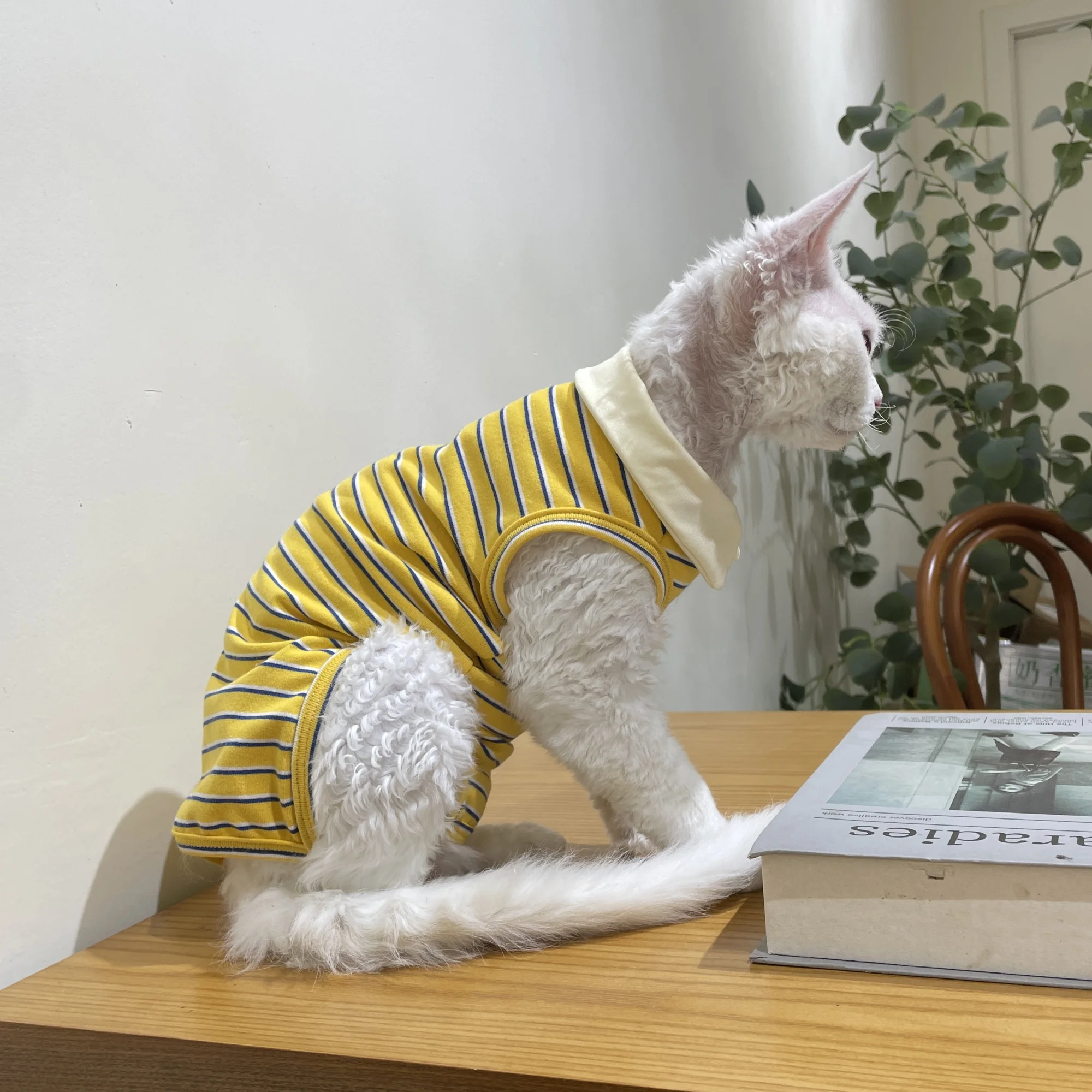 Polo de algodón de manga corta de cuatro patas para gato esfinge en verano, camiseta de manga de rayas dulces amarillas para gatitos en primavera - imagen 2