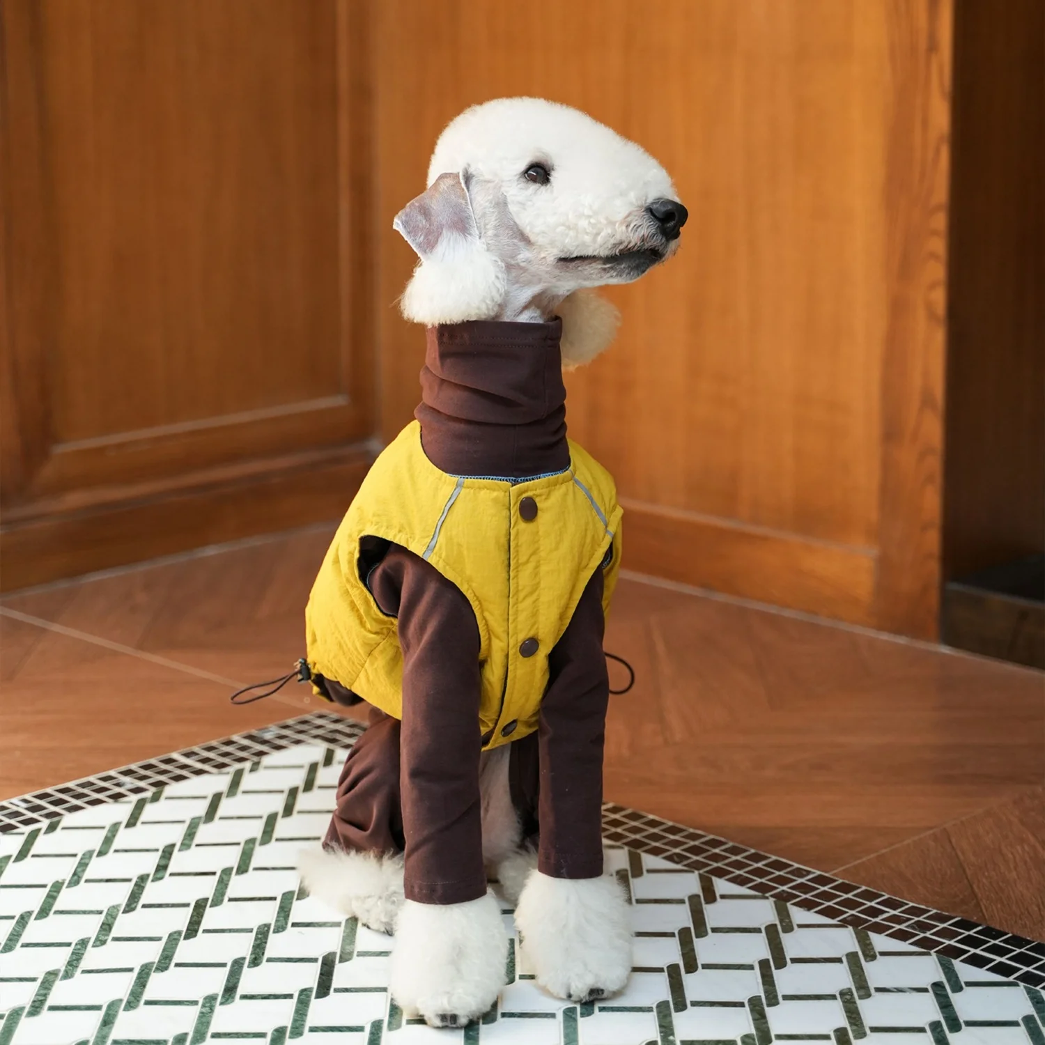 Abrigo de plumón de pato blanco en dos lados para usar en Bedlington en invierno Chaqueta impermeable amarilla gruesa con botones en la espalda para Whippet en clima frío - imagen 4