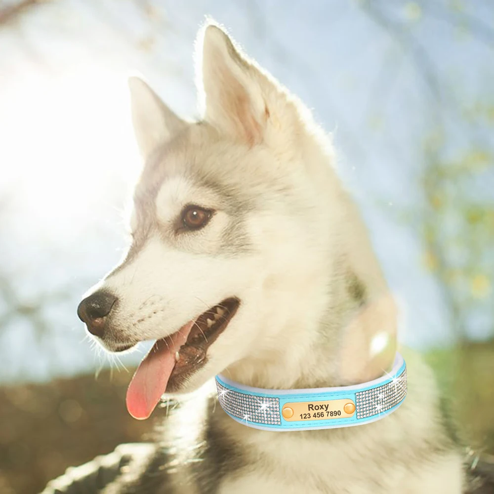 Collar de perro personalizado con diamantes de imitación de cristal, Collar de identificación acolchado suave antipérdida, grabado gratis para perros pequeños, medianos y grandes - imagen 5