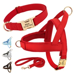 Arnés de cuero para perros - Tallas S, M y L con chaleco identificacion