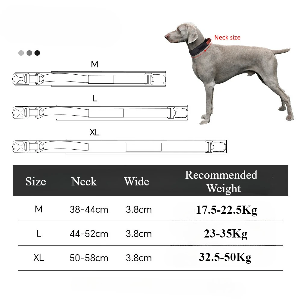 Collar táctico ajustable perro mediano grande – Paseo y entrenamiento - imagen 3