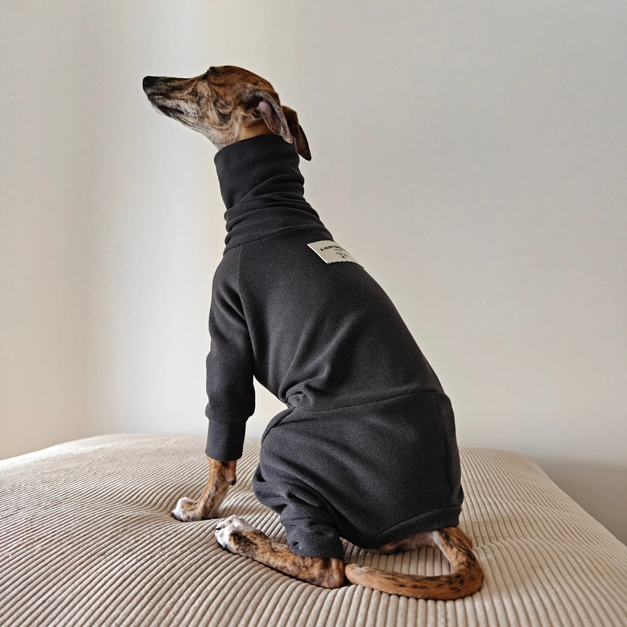 Mono de cuello alto – Abrigo polar para Whippet y Galgo Italiano - imagen 2