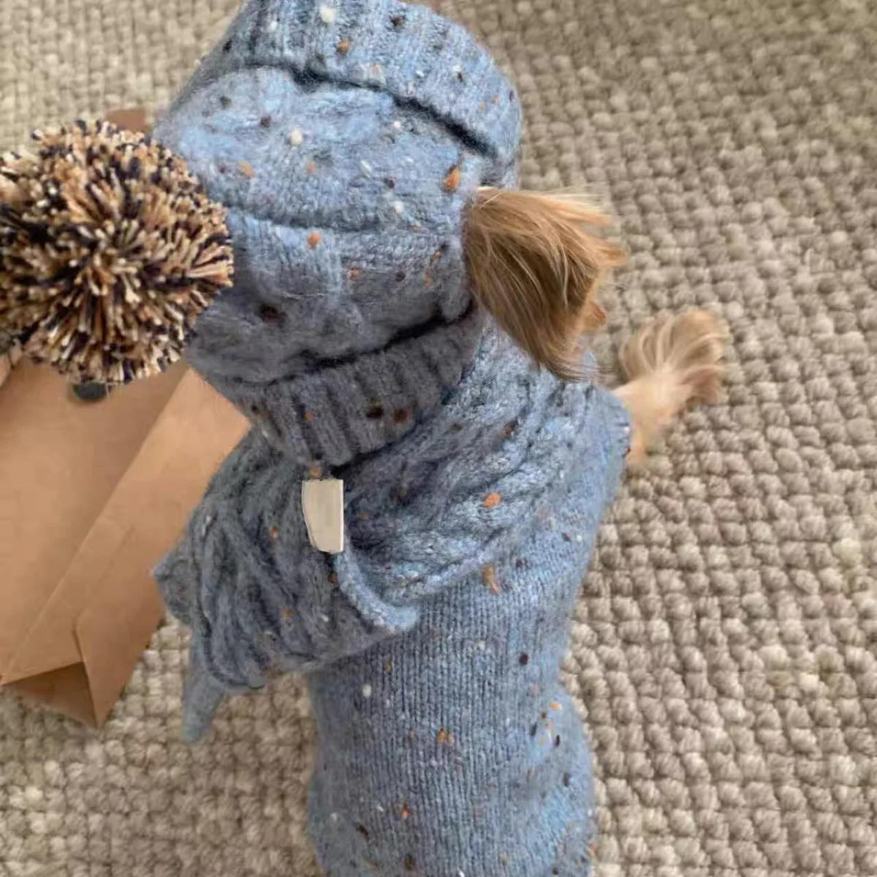 Conjunto térmico para perros mini y gatos: jersey con gorro y bufanda - imagen 2