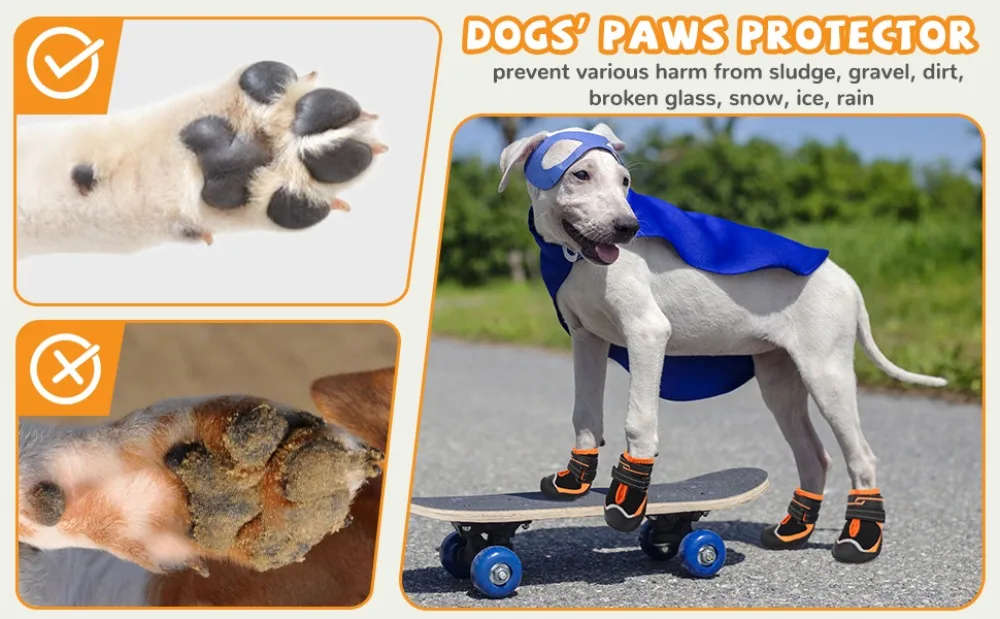 Perro con botas ATUBAN en senderismo