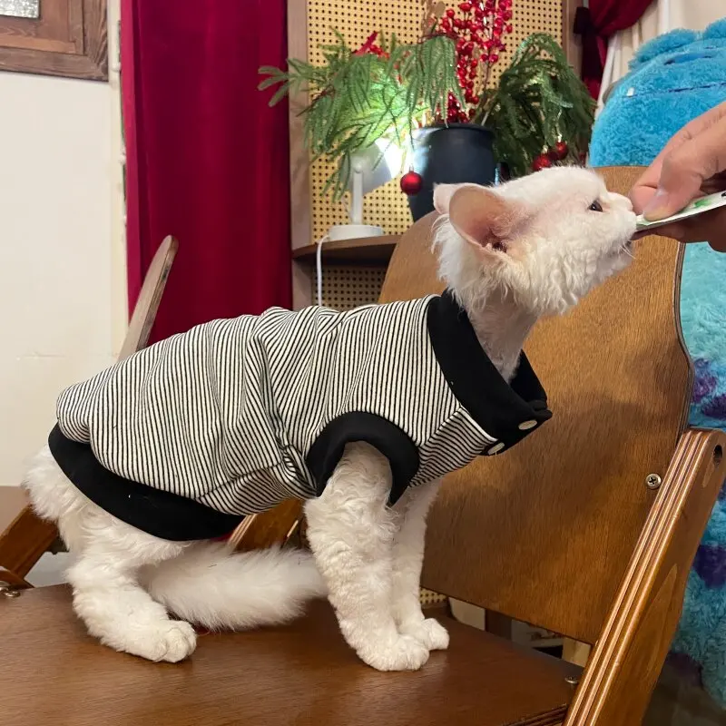 Jersey de algodón para Sphynx y perro mini – Ropa primavera - imagen 4