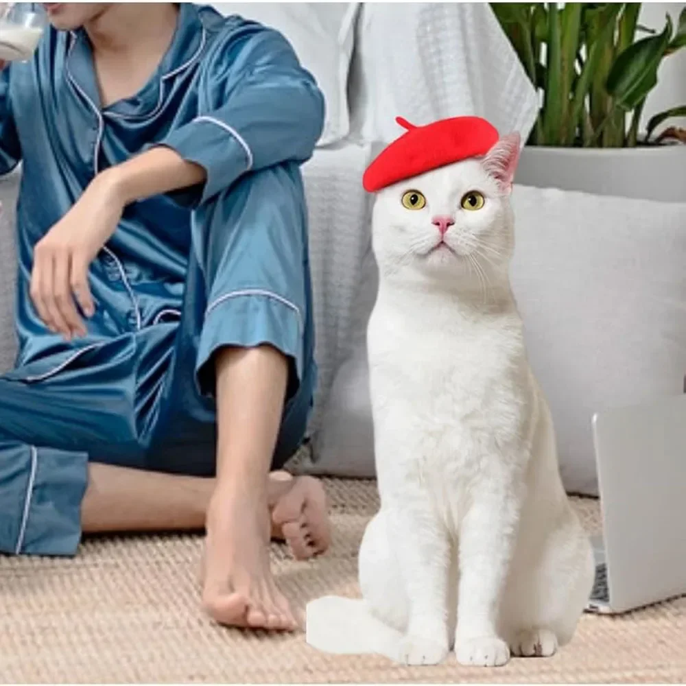 Boina de lana para cachorros, sombrero ajustable para mascotas para gatos, perros pequeños, bonito gorro estilo boina para gatitos, cómodos accesorios de moda para mascotas - imagen 2