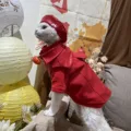 Red Suit