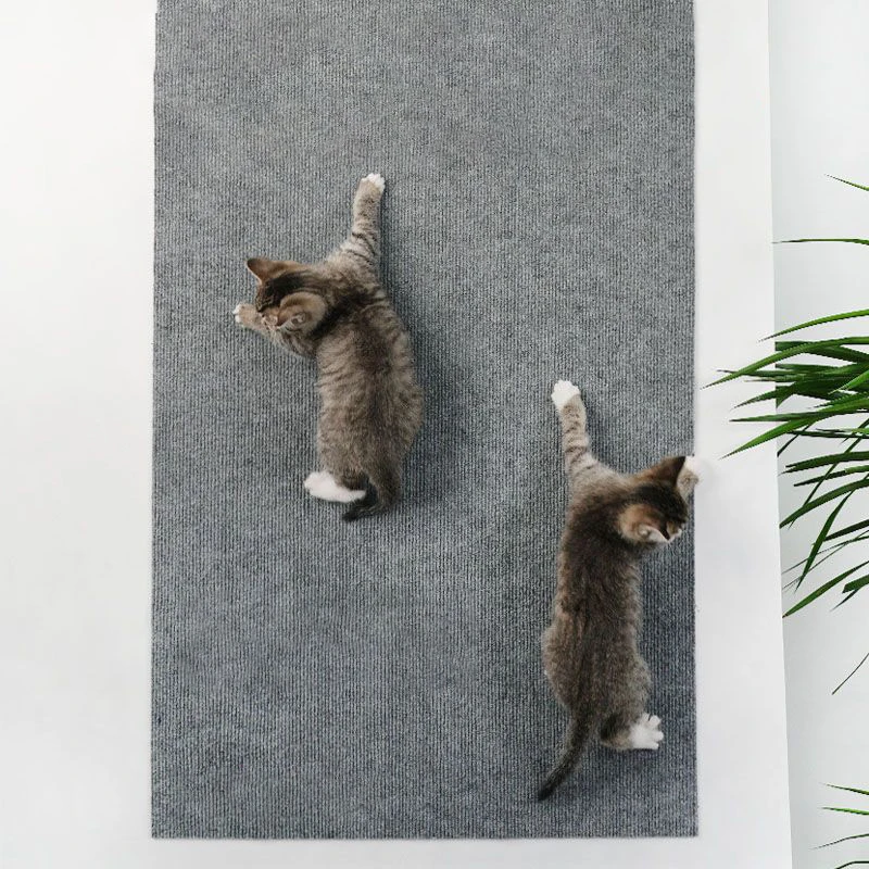 Alfombra de pared para escalar gatos, alfombra para rascar gatos, autoadhesiva, tablero rascador para gatos, protección antiarañazos para muebles