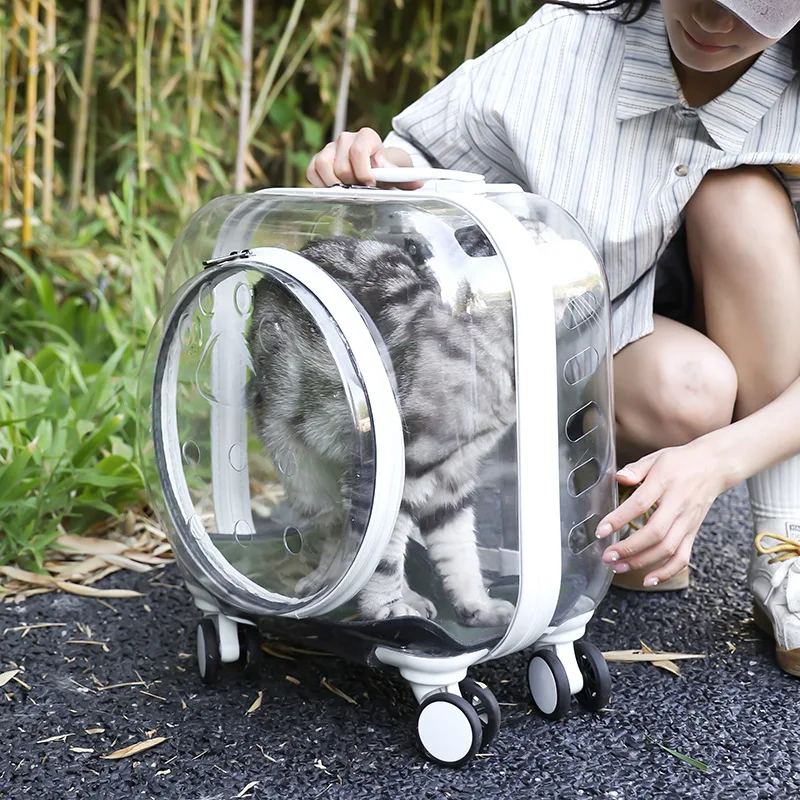 Maleta transparente cápsula espacial para perros y gatos transpirable - imagen 3