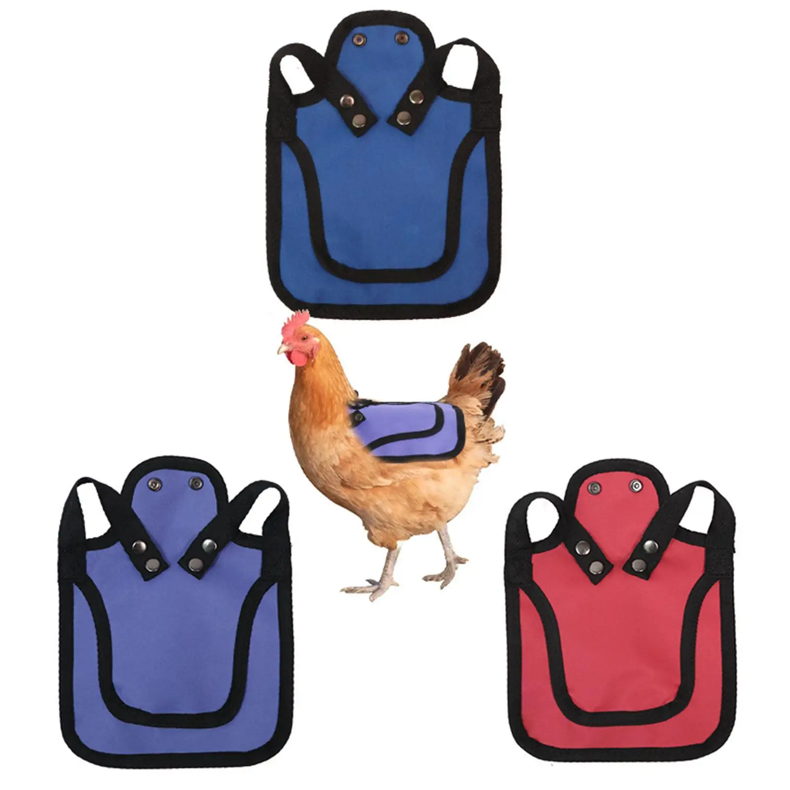 Chicken Saddle Accessories Adjustable with Metal Buckles Feather Protector