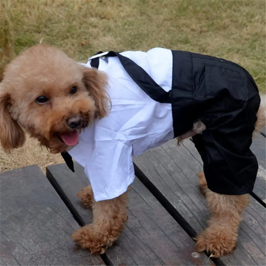 Traje de esmoquin para perro con estilo, traje de boda de Príncipe, esmoquin Formal blanco y negro con pajarita, ropa para cachorro, mono para perros pequeños - imagen 4