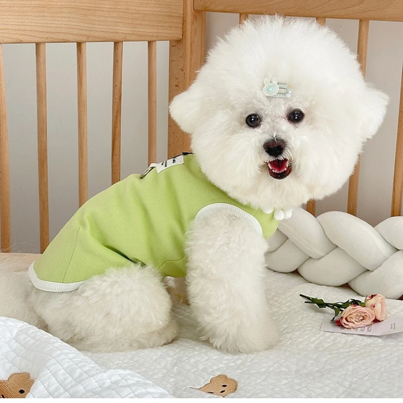 Linda camisa básica para primavera y otoño para mascotas, camiseta para el hogar con cuello medio alto para perros y gatos, Sudadera con capucha para perros pequeños con oso Teddy Schnauzer - imagen 2