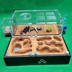 Formicario de yeso para criar hormigas – Casa completa con nido