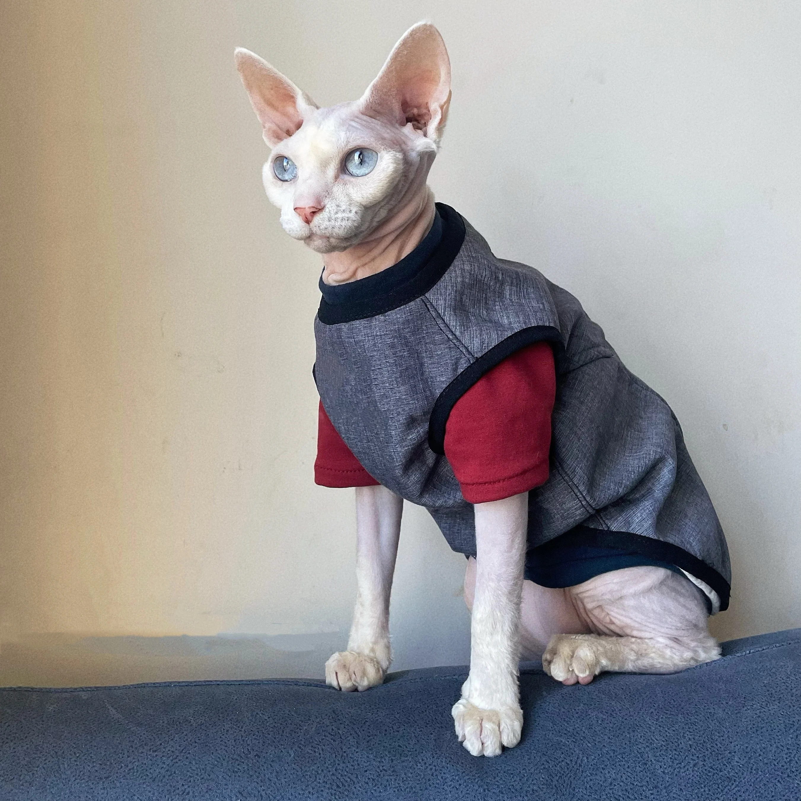 Chaqueta de lana gris a la moda para gato esfinge, abrigo cálido de invierno para gato sin pelo, chaleco grueso de manga corta para gatitos - imagen 5