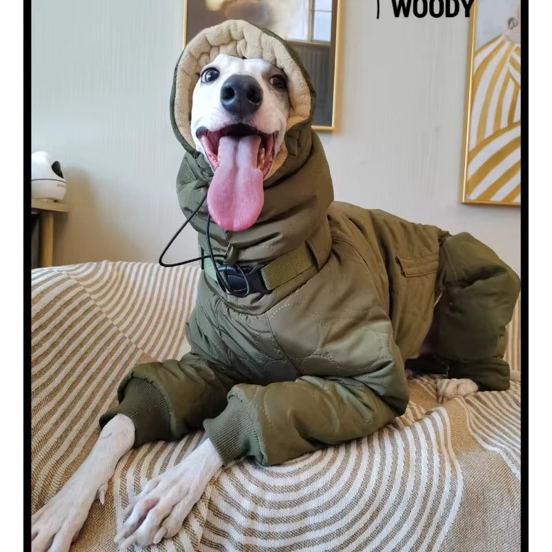 Abrigo impermeable para Whippet y galgo italiano – Cálido y suave - imagen 3