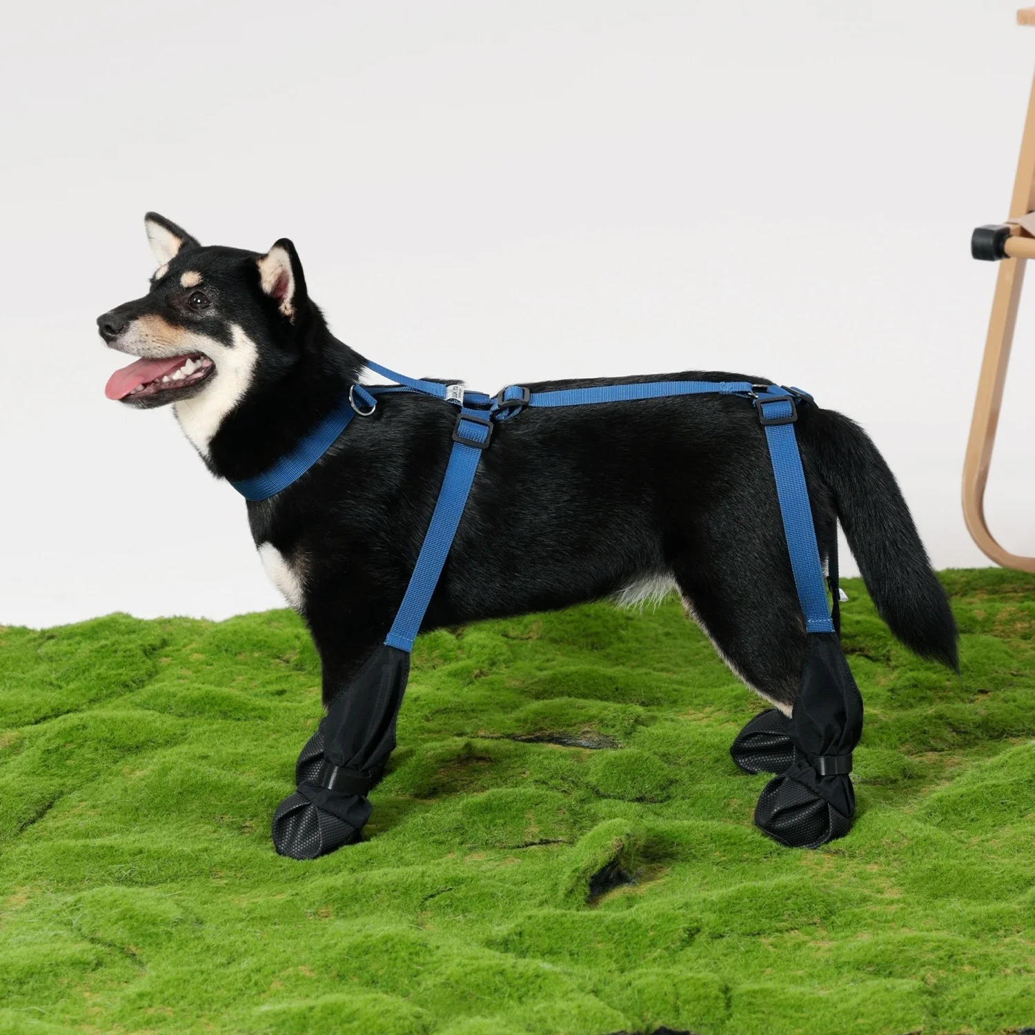 Zapatos para perros con arnés, impermeables, anticaídas, zapatos con manga, cubiertas para patas de perros a prueba de polvo para perros pequeños y medianos - imagen 2