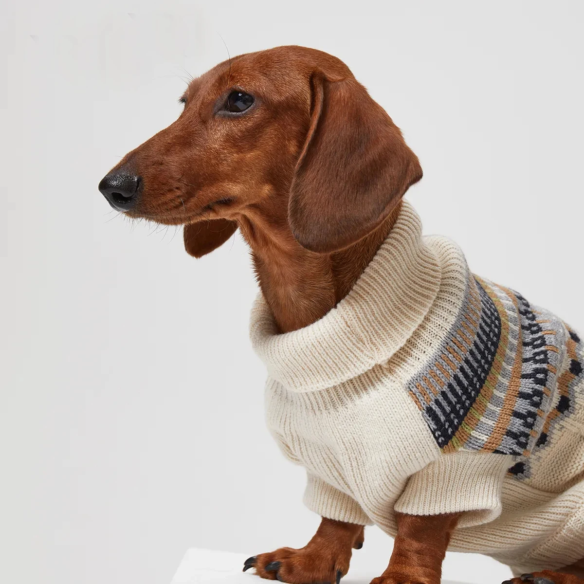 Suéter Retro de estilo británico para perros Wiener, chaleco grueso y suave de invierno para perros salchicha, abrigo de moda para perros pequeños y medianos de tejón - imagen 2