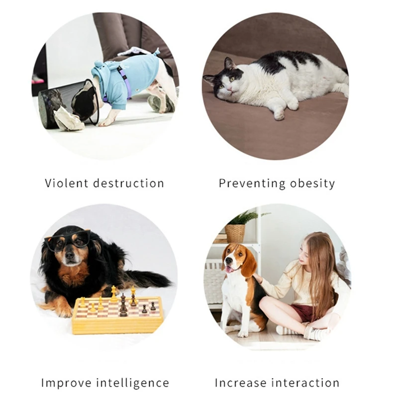 Botón de grabación de voz para perros, juguete para hablar, comunicación de entrenamiento de mascotas, regalo divertido, antideslizante para estudio, oficina, hogar, paquetes de 4 colores - imagen 5