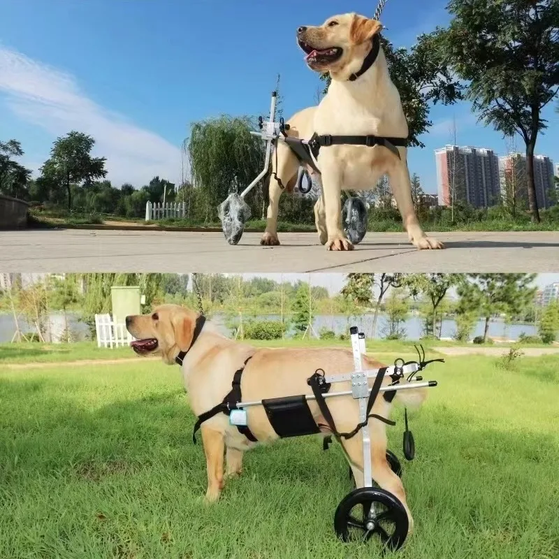 Silla de ruedas para mascotas, vehículo de asistencia para caminar para rehabilitación de perros, Scooter para perros discapacitados medianos y grandes