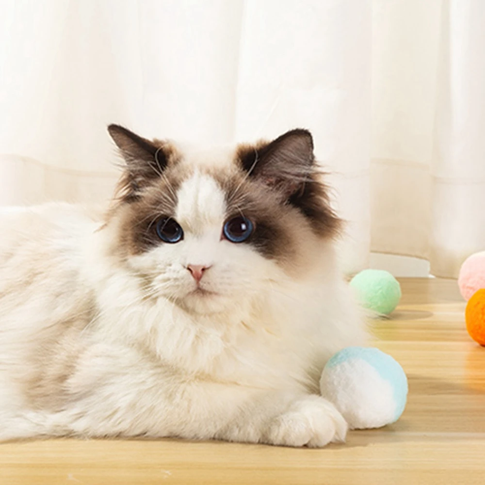 Bolas de fieltro de lana para gatos dentro de una caja