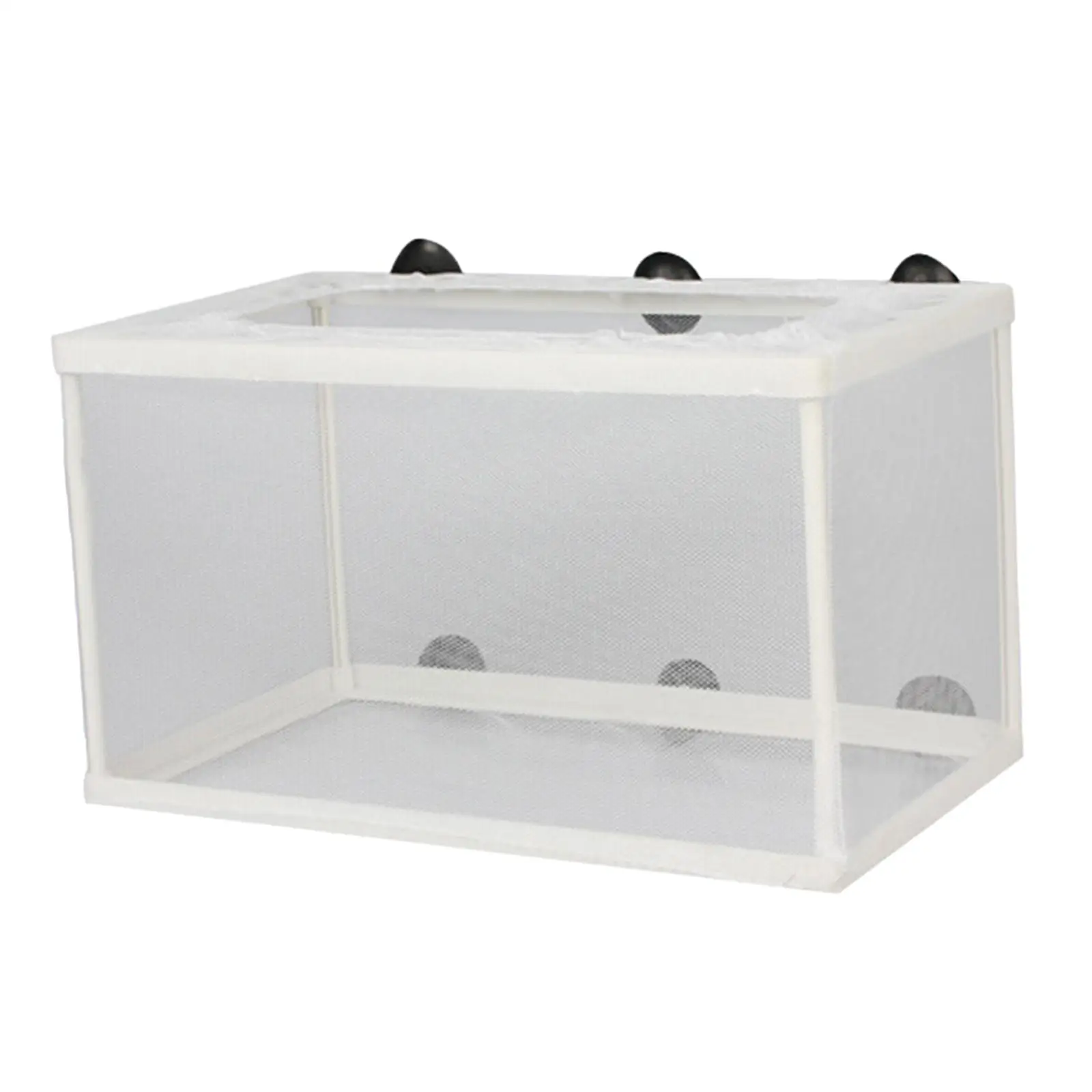 Caja de criadero de peces con ventosas, Red de aislamiento para incubar peces, peces agresivos, Guppy - imagen 2