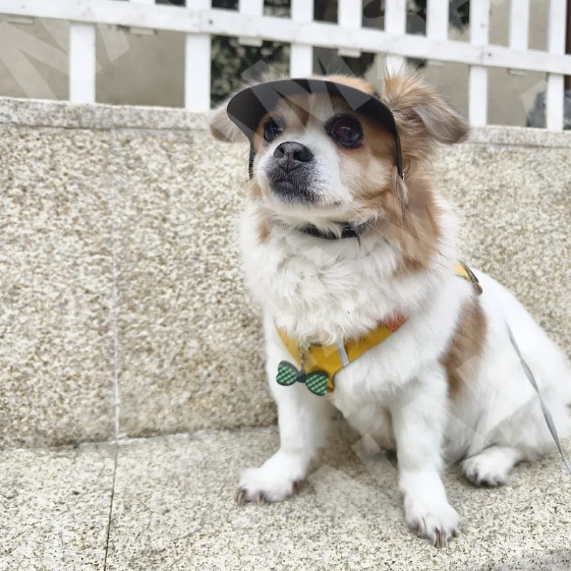 Sombrero de sol de plástico para mascotas, visera de protección solar con orejas expuestas para perros pequeños al aire libre, productos de decoración para senderismo, accesorios, gorras - imagen 3
