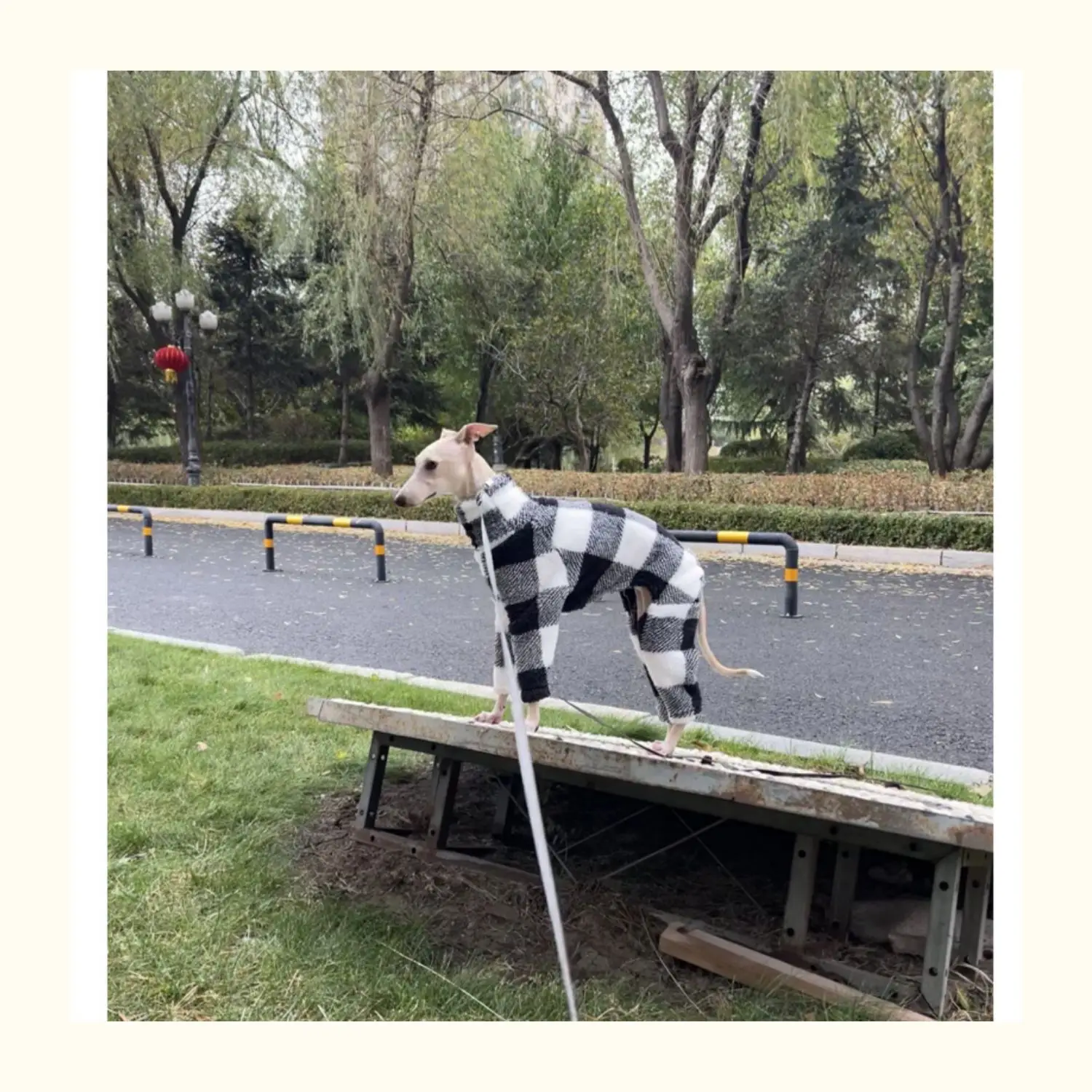 Ropa de terciopelo a cuadros de doble cara para cachorros, ropa cálida y suave para perros pequeños y medianos, adecuada para galgos/whippets en invierno