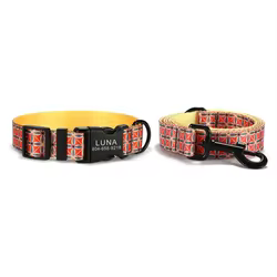 Collar identificativo para perro – Placa grabable con nombre