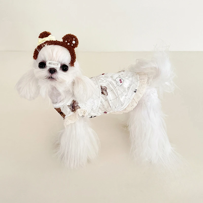 Chaleco de encaje de oso de peluche para mascotas, bonito vestido, pijamas para perros y gatos, encaje de terciopelo dorado para otoño e invierno, chaleco de terciopelo para el hogar, falda de manga voladora - imagen 4