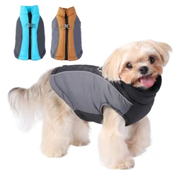 Chaqueta impermeable para Bulldog Francés y Chihuahua – Invierno