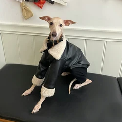 Abrigo de cuero cuello piel para galgo whippet bedlington