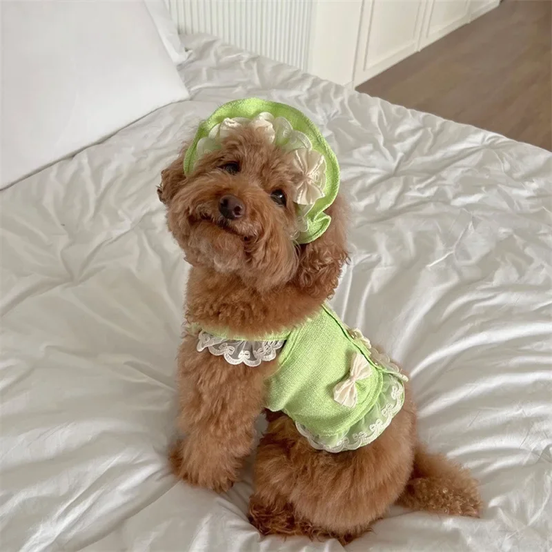 Ropa de diseño para mascotas, camisola, chaleco, gato pequeño y mediano, ropa con lazo de encaje para primavera y verano, conjunto de 2 piezas, sombrero de encaje, vestidos para cachorros - imagen 3