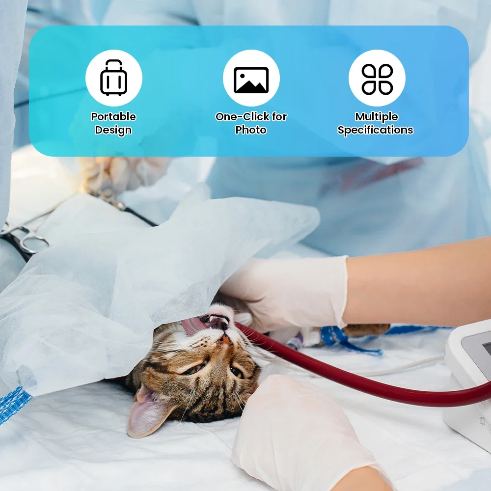 Cámara endoscópica veterinaria ENT de 2,8mm, endoscopia de urología Flexible multifunción para animales pequeños, mascotas, gatos, perros, PC, uso Android - imagen 3