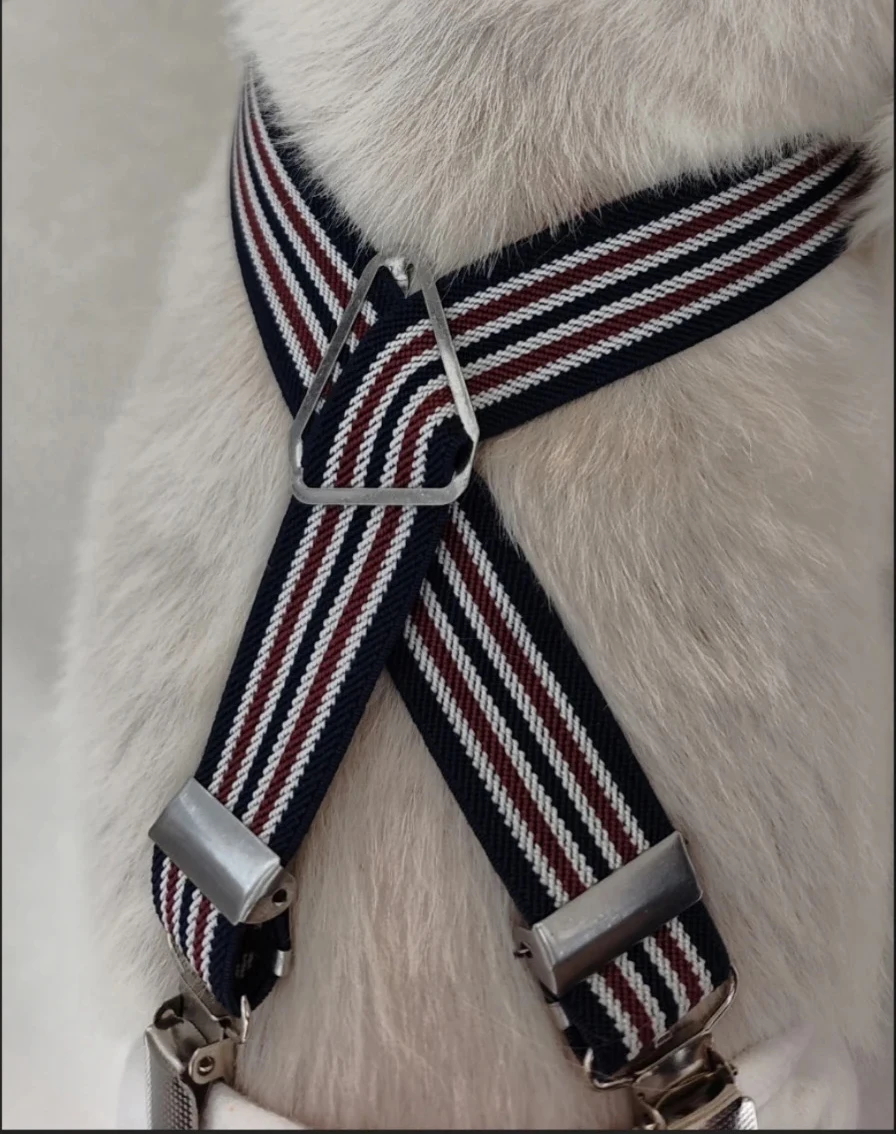 Tirantes para mascotas, pantalones de pañales fijos, adecuados para gatos, perros, cerdos, período de Estrus y urinar en todas partes, correa ajustable para pañales - imagen 3