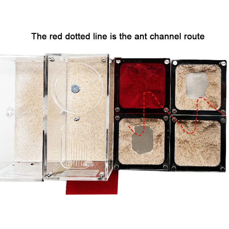 Área de caza - Zona de alimentación